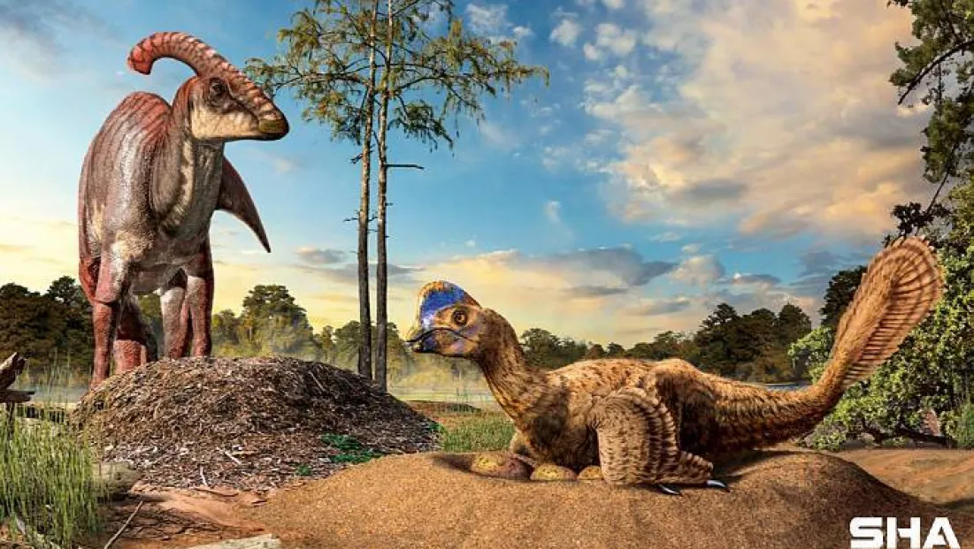 Eğer;TIP okursan karşına, insan DNA 'sının şempanze ile %98 aynı olduğu çıkar.