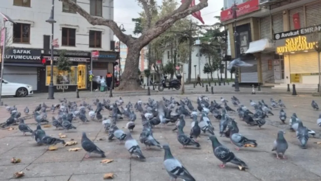 Silivri’de Soğuk Ama Açık Bir Gün: Hava 14 Dereceye Kadar Yükselecek