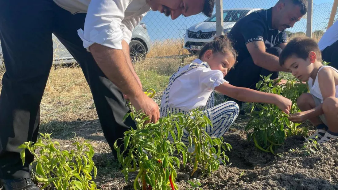 Silivri Ülkü Ocakları’ndan Tarıma Katkı: İlk Hasat Gerçekleştirildi