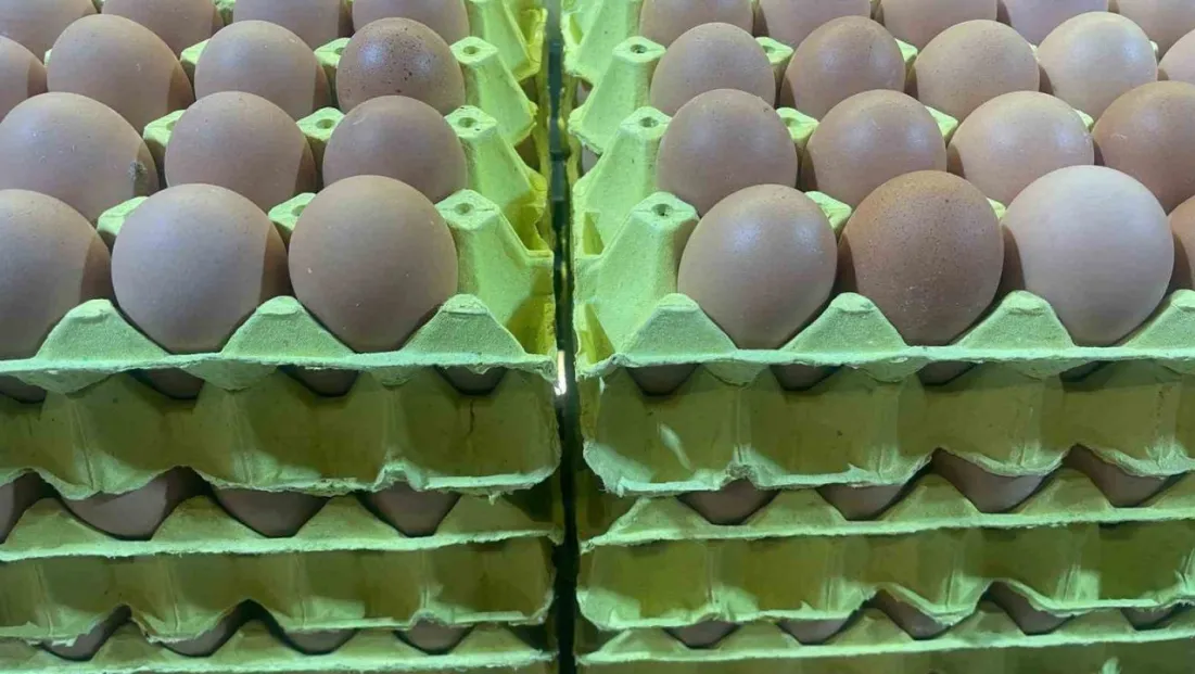 Yumurta fiyatları 'mayıs çukuru' yaklaşınca düşüşe geçti