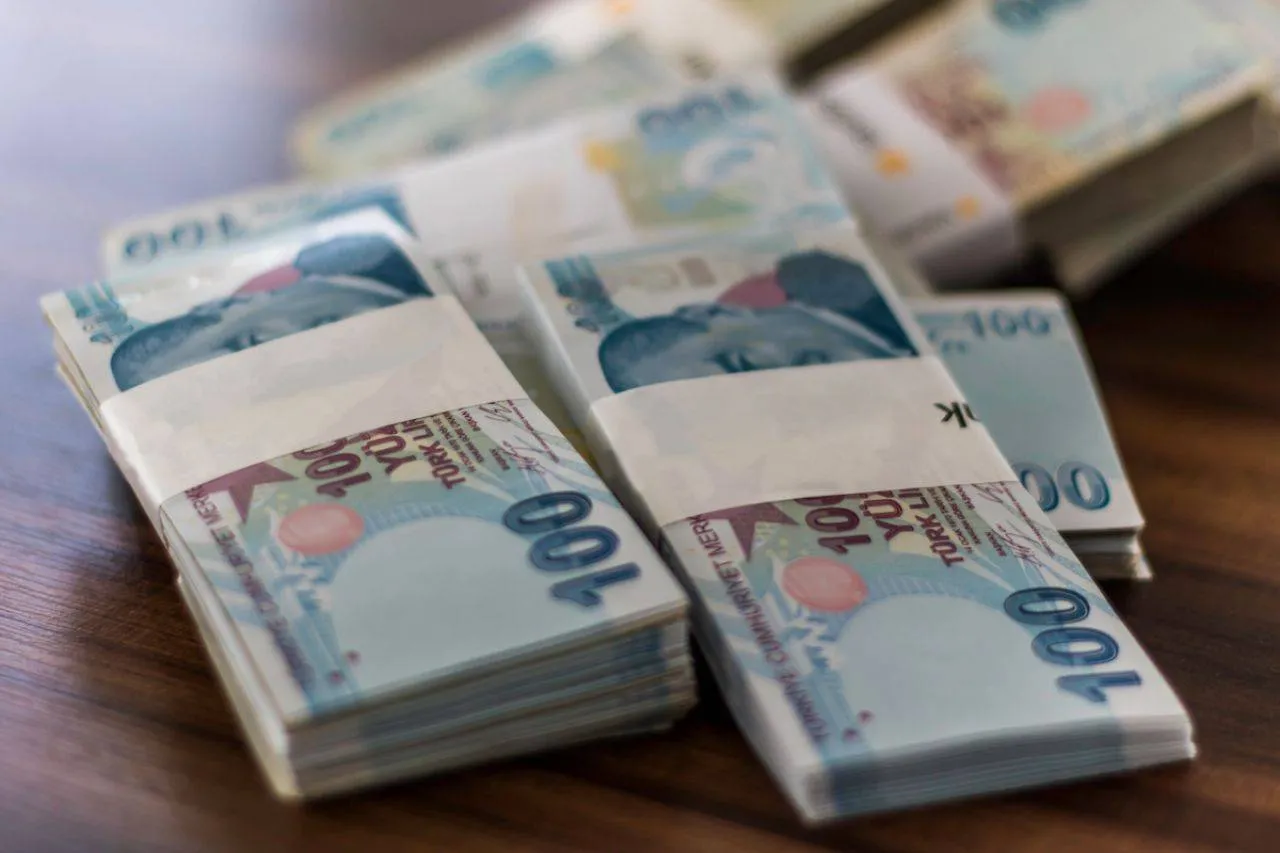 İşte geri ödemesiz hibe alınabilecek sektörler!