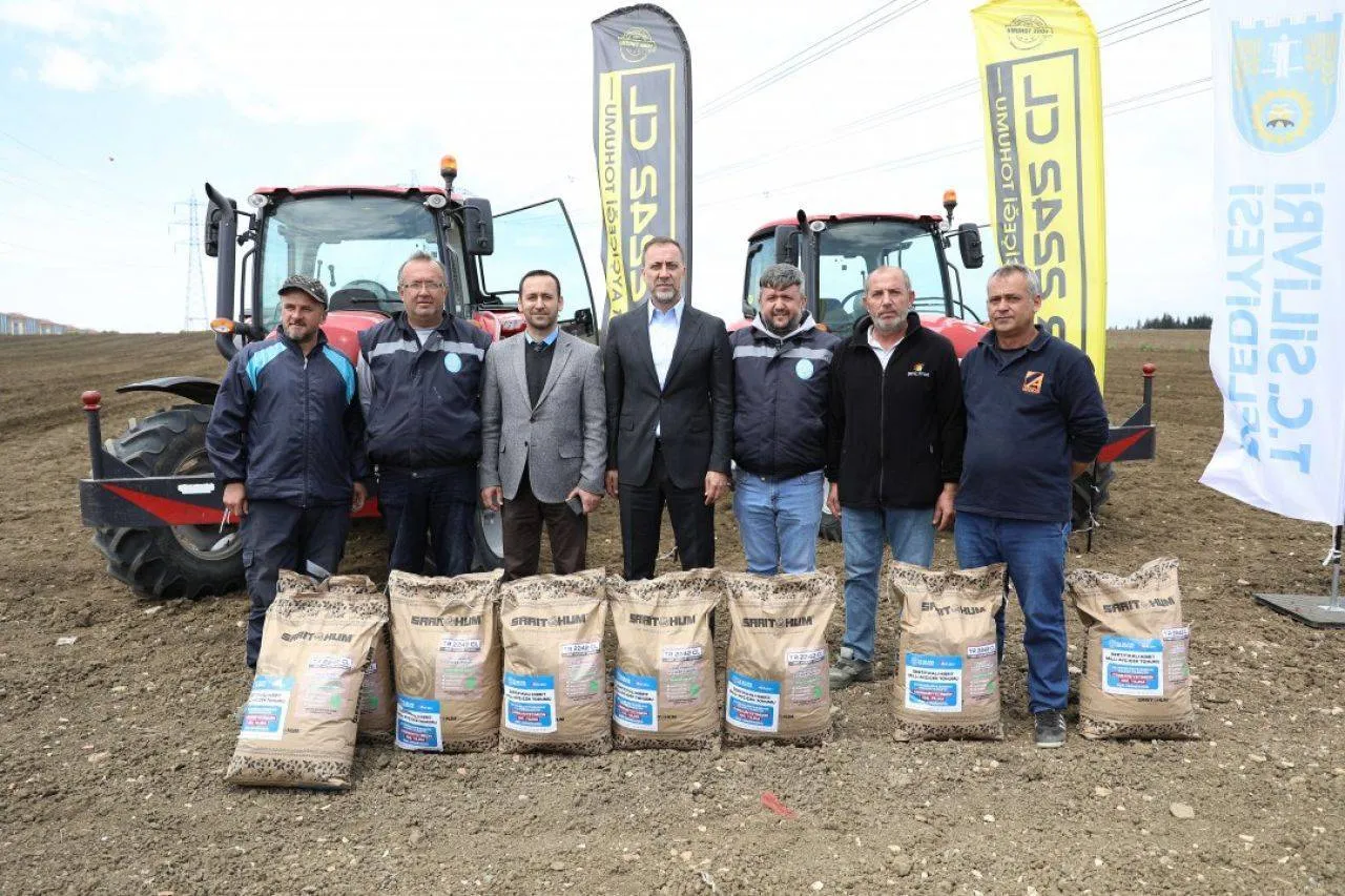 Silivri Belediyesi bu sene de 1.000 dönüm arazisine milli ayçiçeği ekiyor