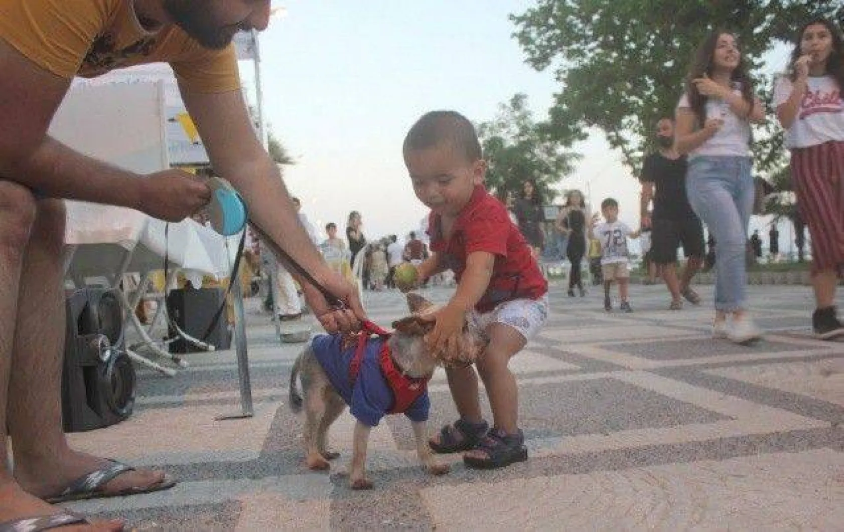 Sergi alanları festivale renk kattı
