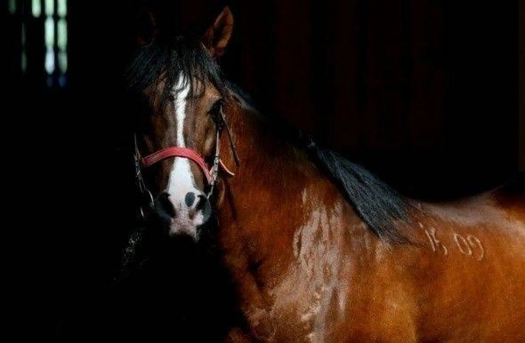 Efsane babaların efsane oğulları