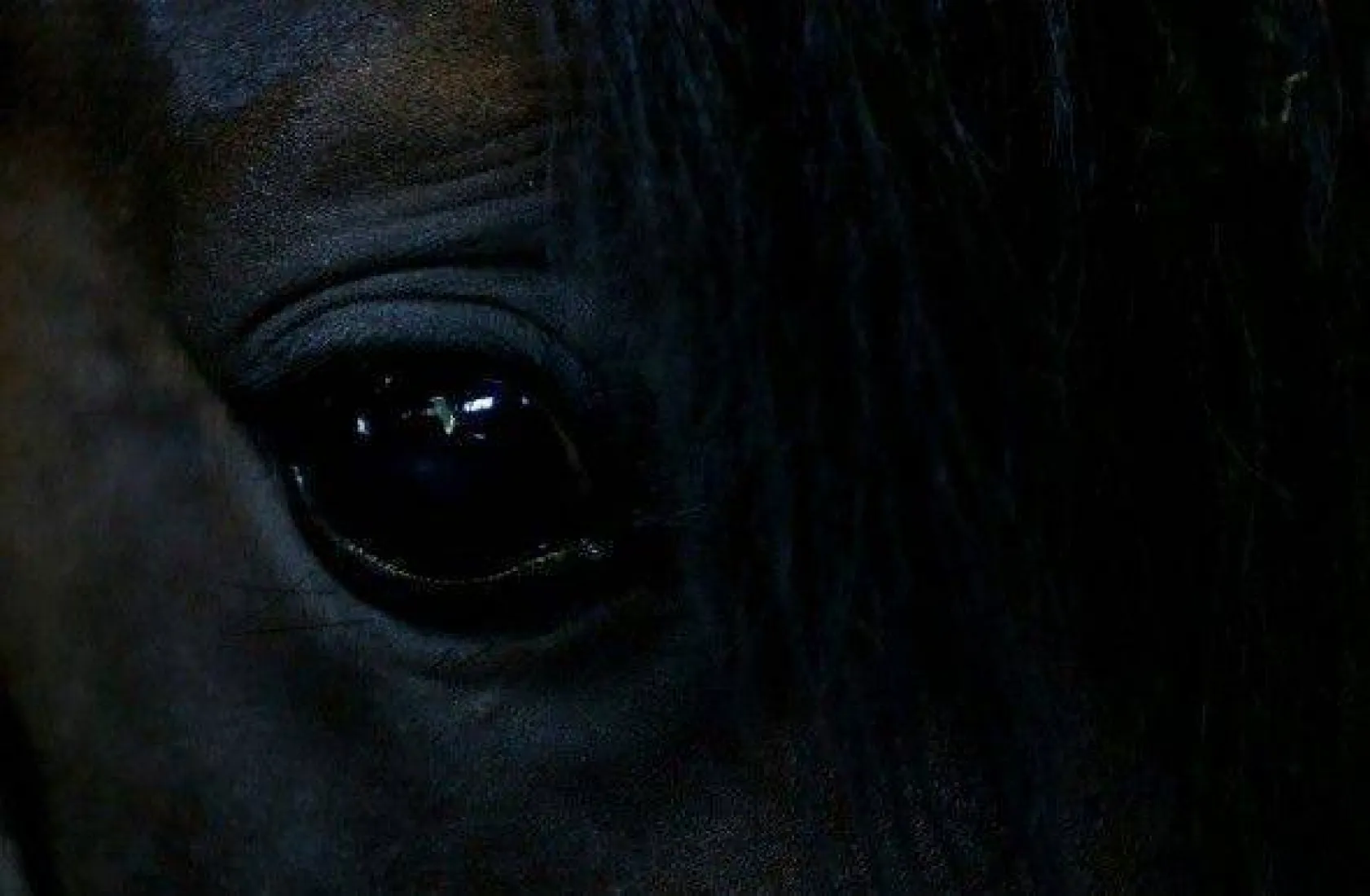 Efsane babaların efsane oğulları