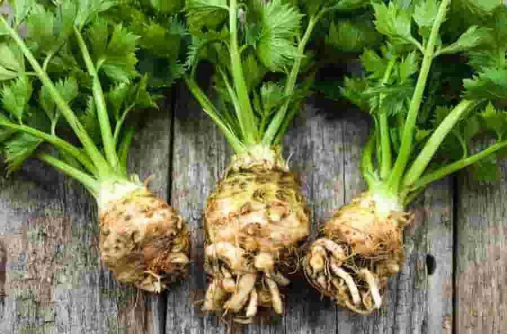 Kasım ayının 10 süper besini