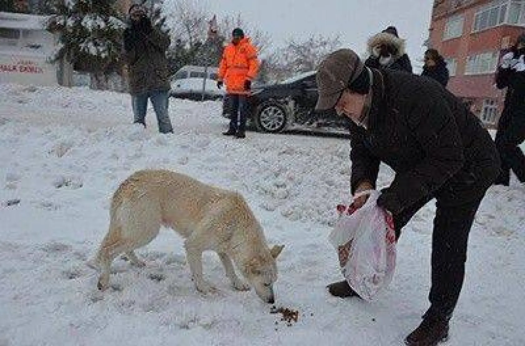 Kış mevsiminde Silivri