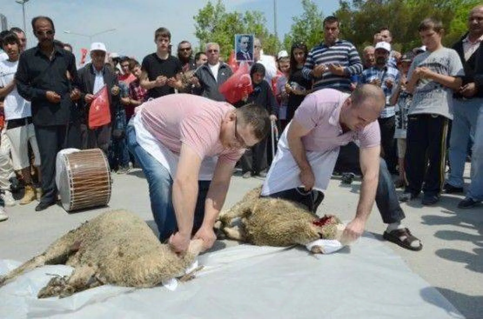 Silivri'de Bahara Coşkulu Merhaba
