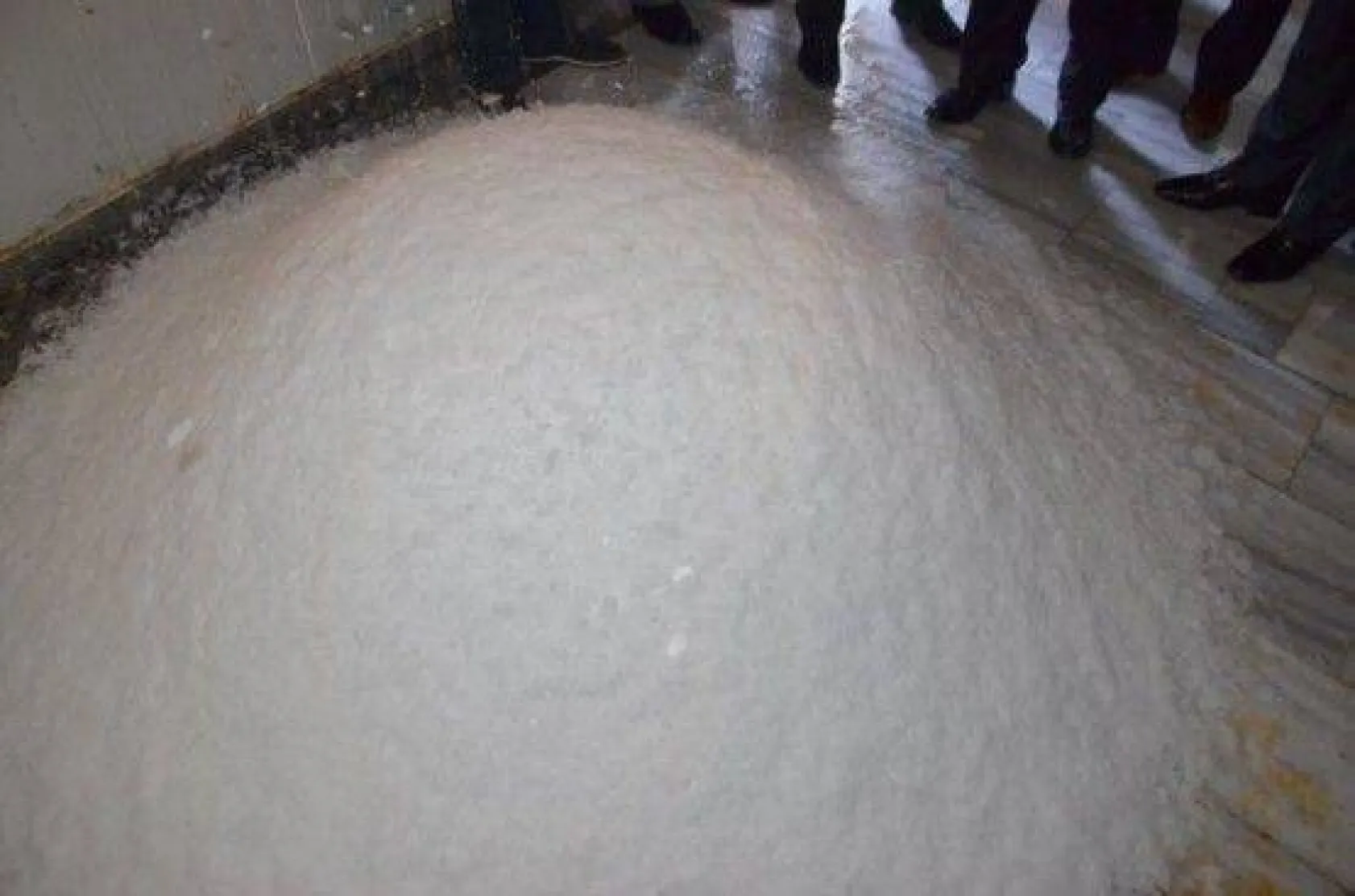 Silivrili Balıkçıların Yüzü Güldü