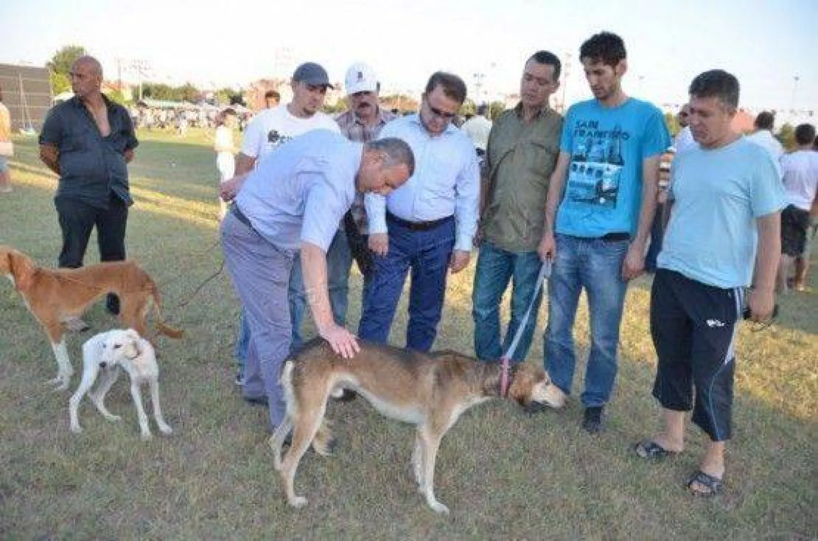 Köpek Irklari 4. Kez Silivri'de Yarıştı