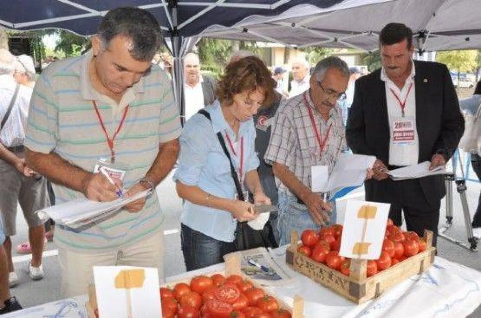 28.Değirmenköy Domates Festivali