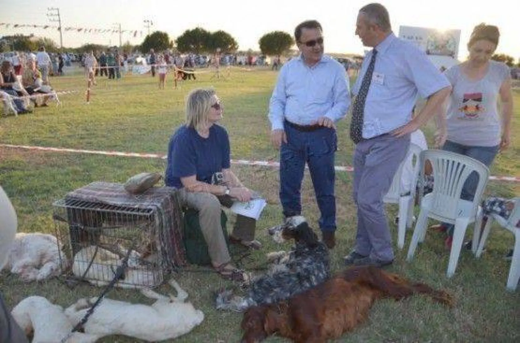 Köpek Irklari 4. Kez Silivri'de Yarıştı