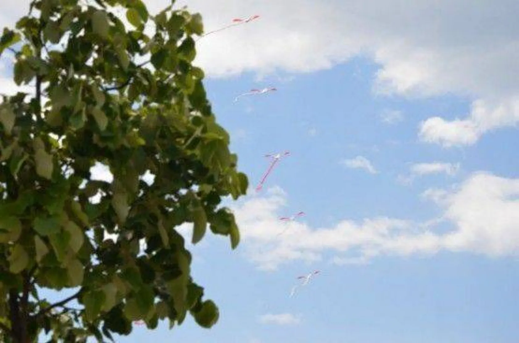 Özel Çocuklar Uçurtmaları Gökyüzüyle Buluşturdu