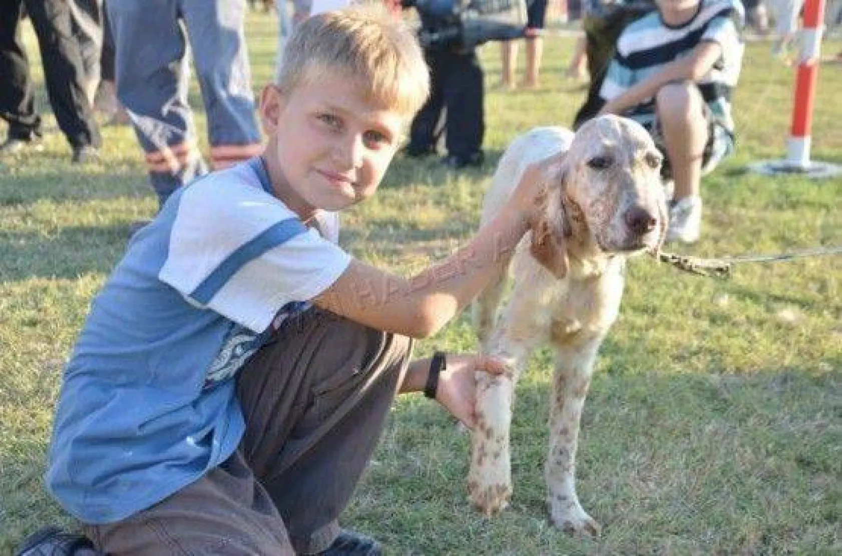 Köpek Irklari 4. Kez Silivri'de Yarıştı