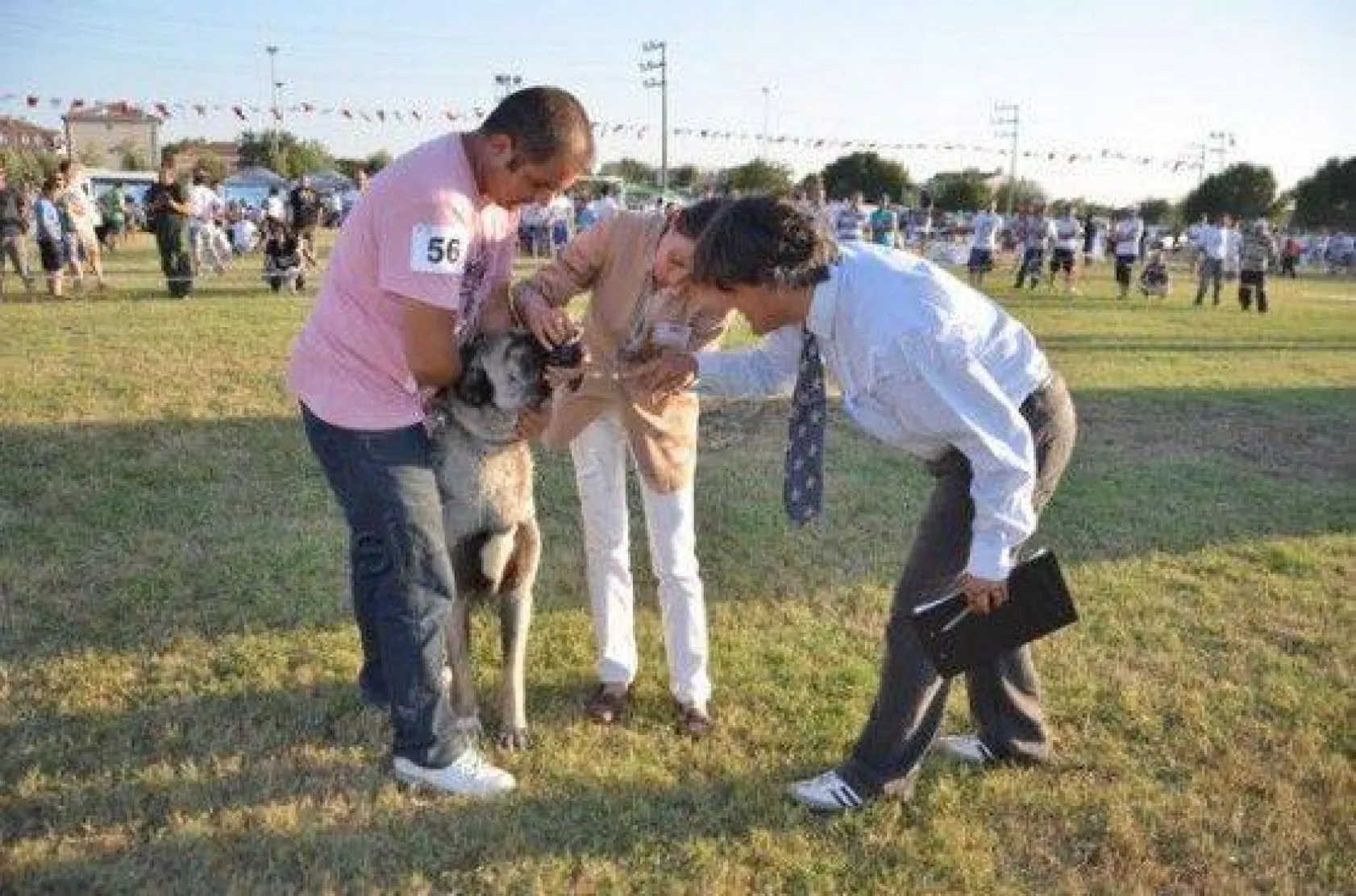Köpek Irklari 4. Kez Silivri'de Yarıştı