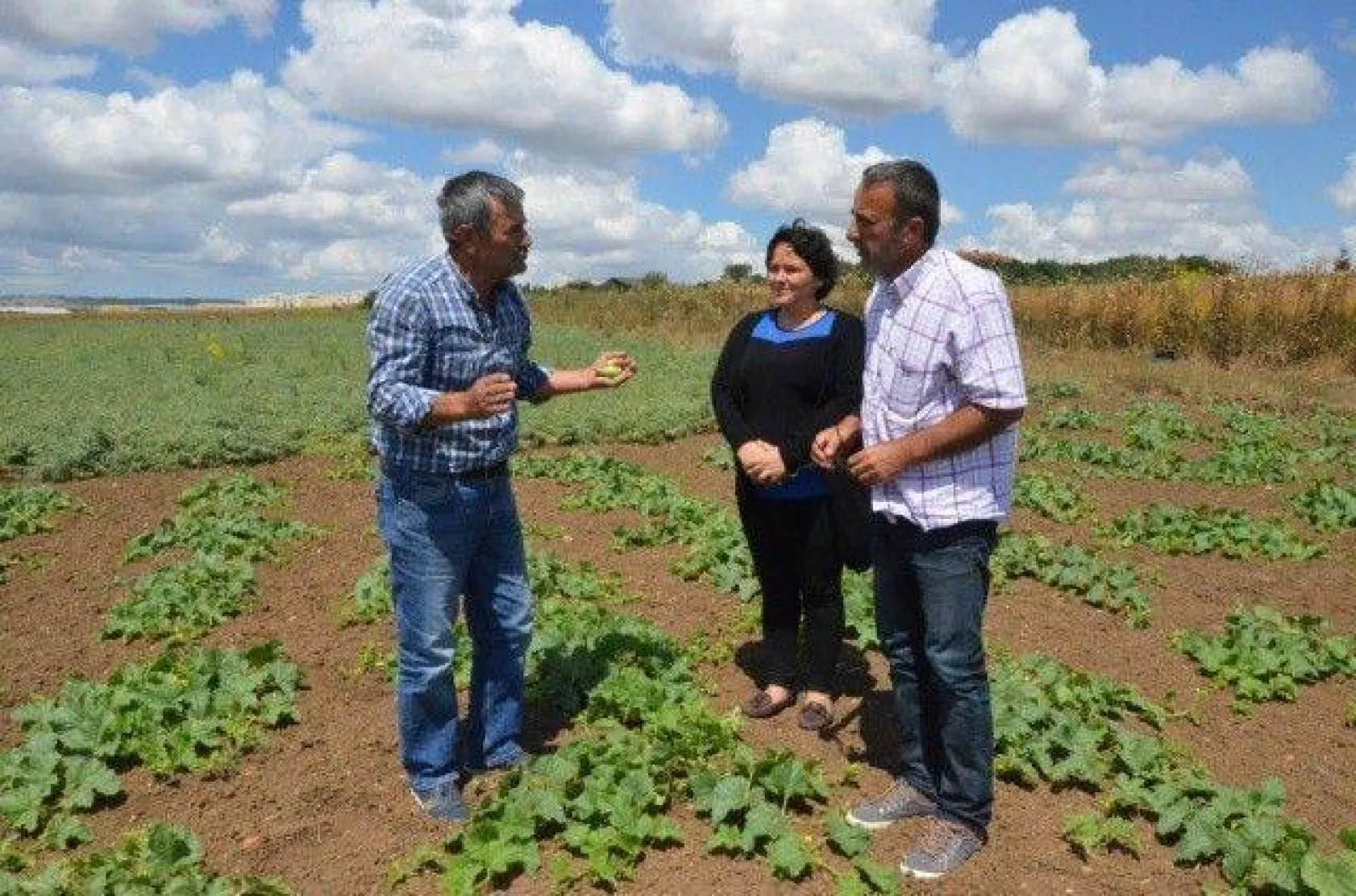 Selimpaşalı Üreticiler Kavun ve Bamyada İddialı