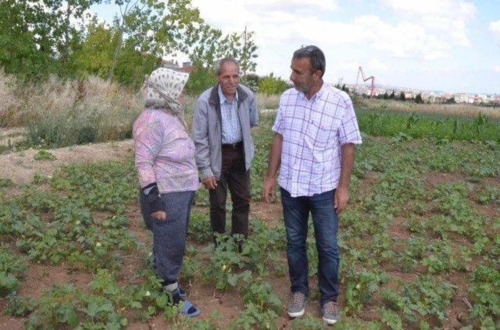 Selimpaşalı Üreticiler Kavun ve Bamyada İddialı