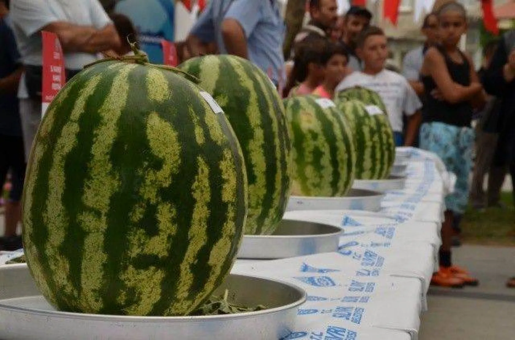 Kadıköy'de En İyi Karpuz Yarışması
