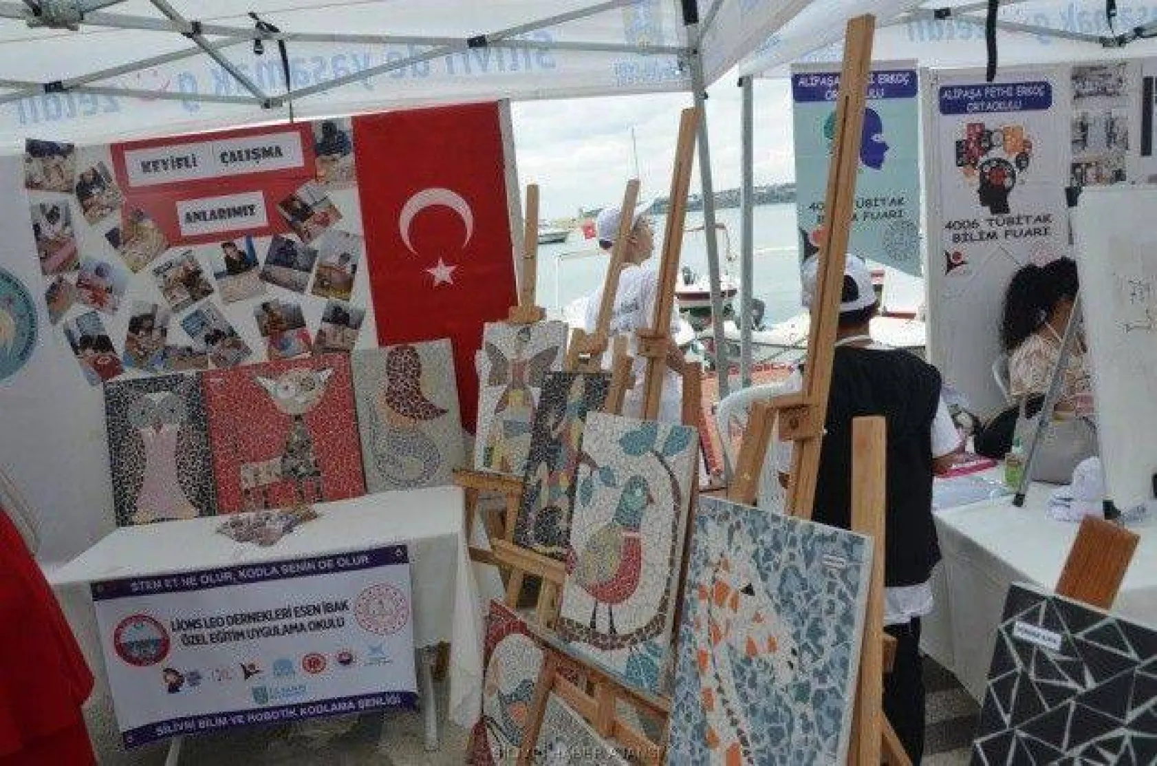 Bilim ve Robotik kodlama Şenliği