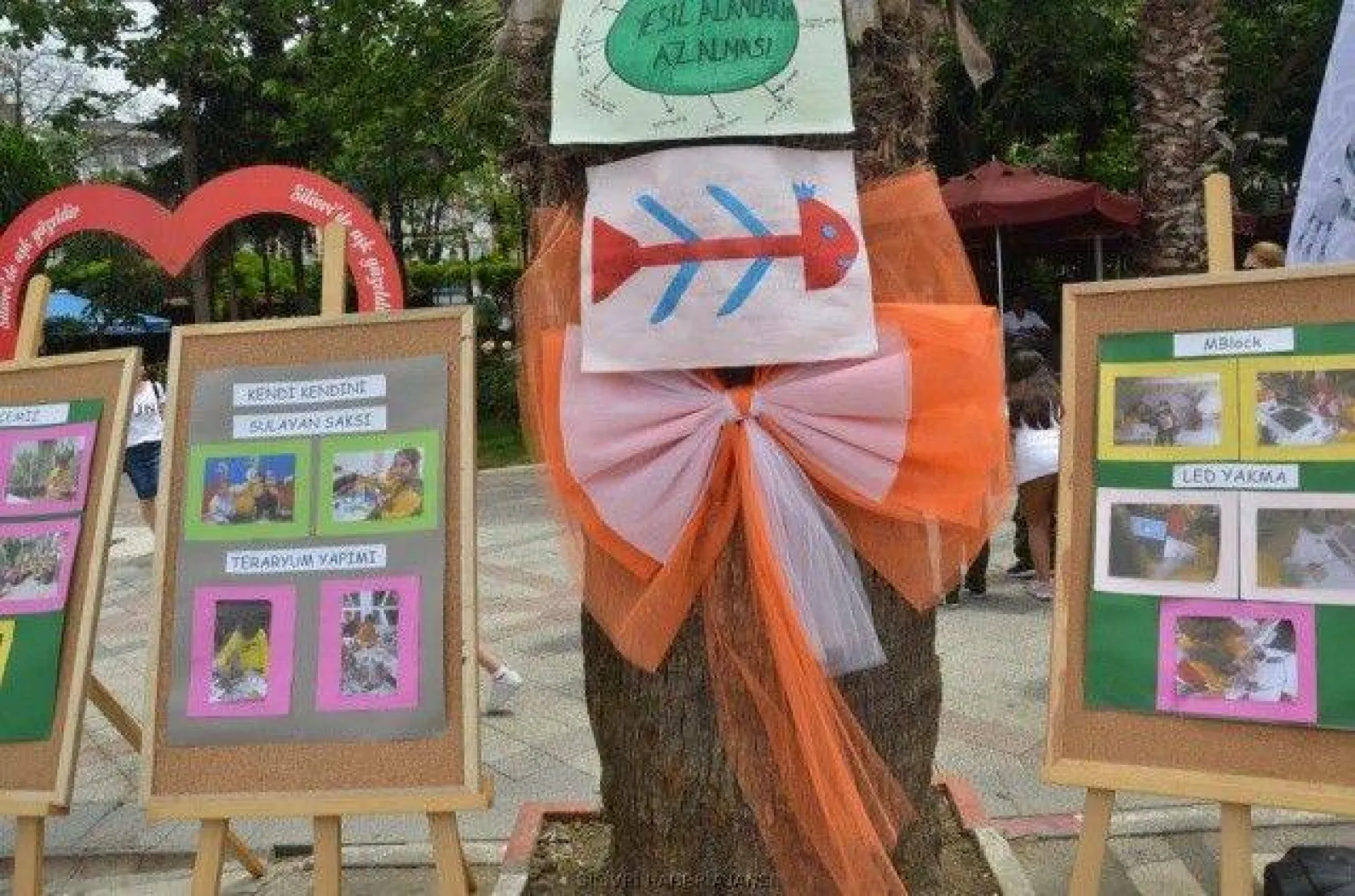 Bilim ve Robotik kodlama Şenliği