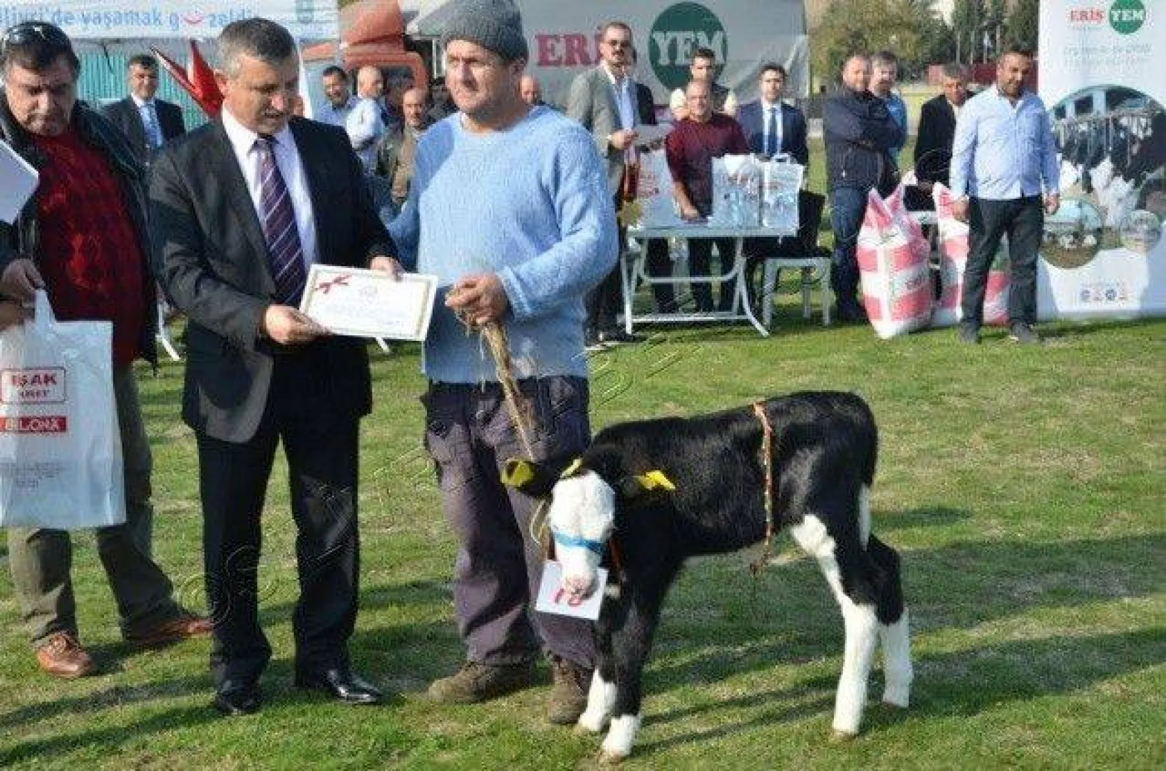 Silivri'de 'En Güzel Buzağı' Yarışması