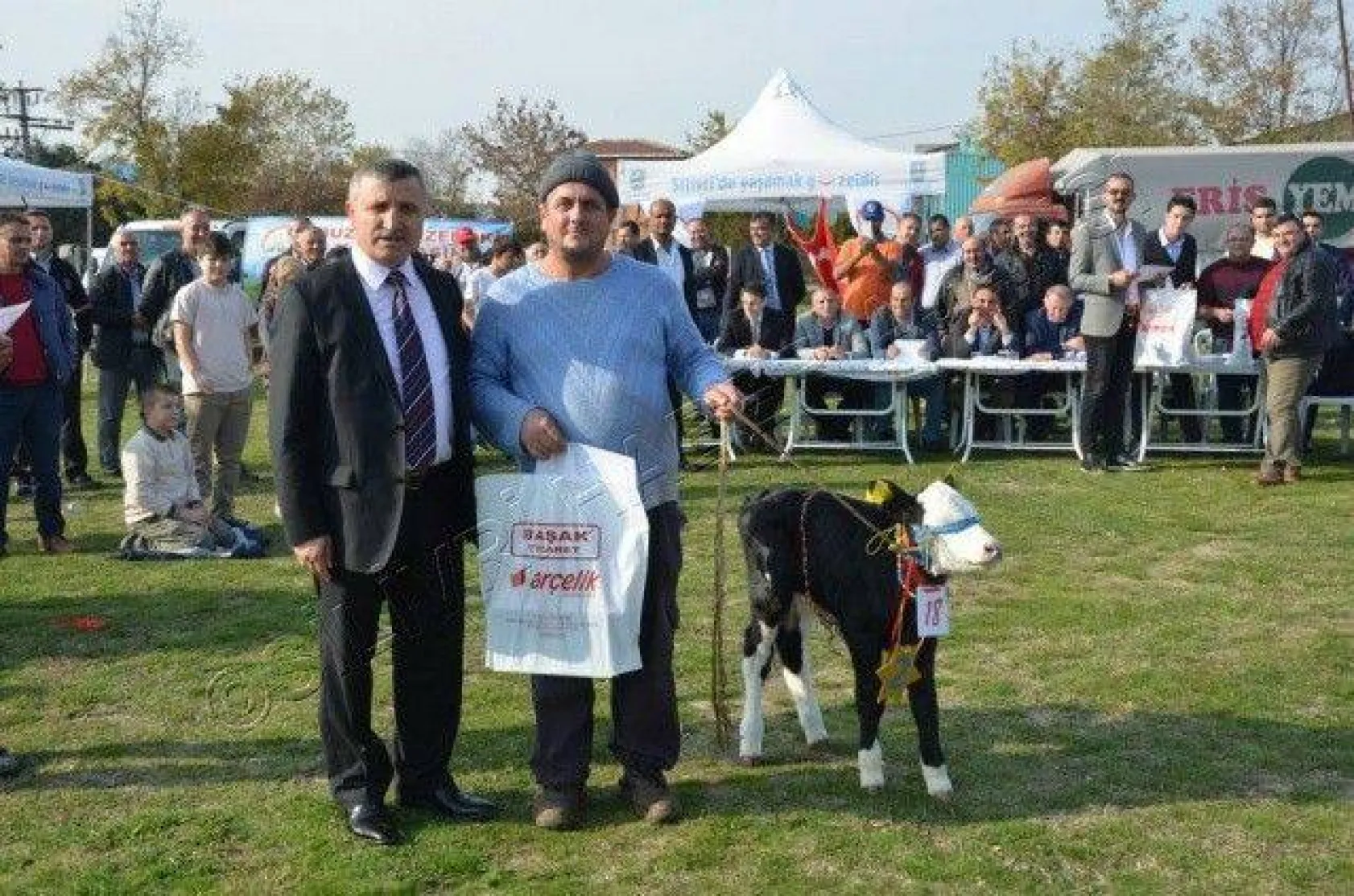 Silivri'de 'En Güzel Buzağı' Yarışması