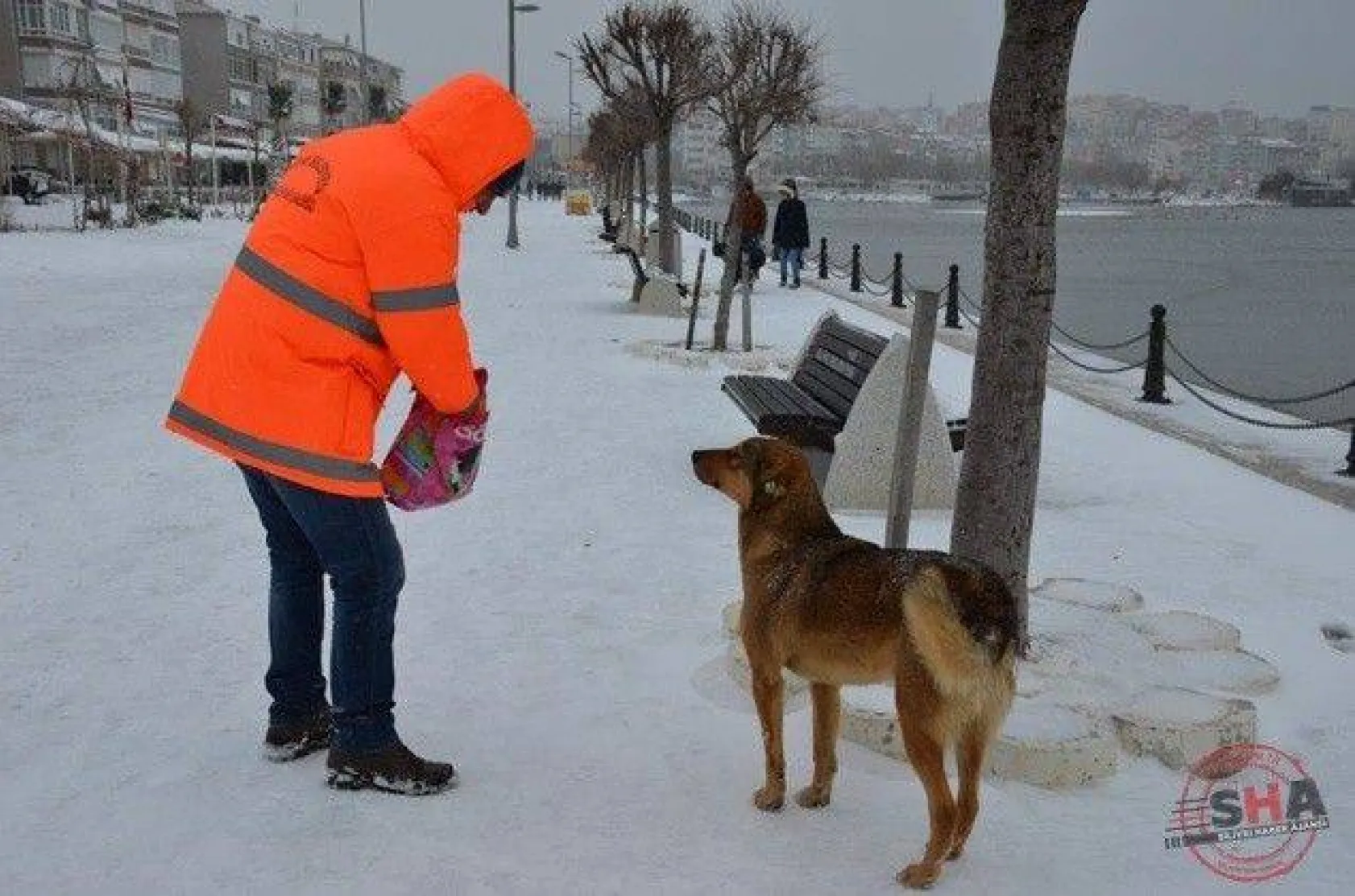 Silivri Belediyesi'nin karla mücadele çalışmaları