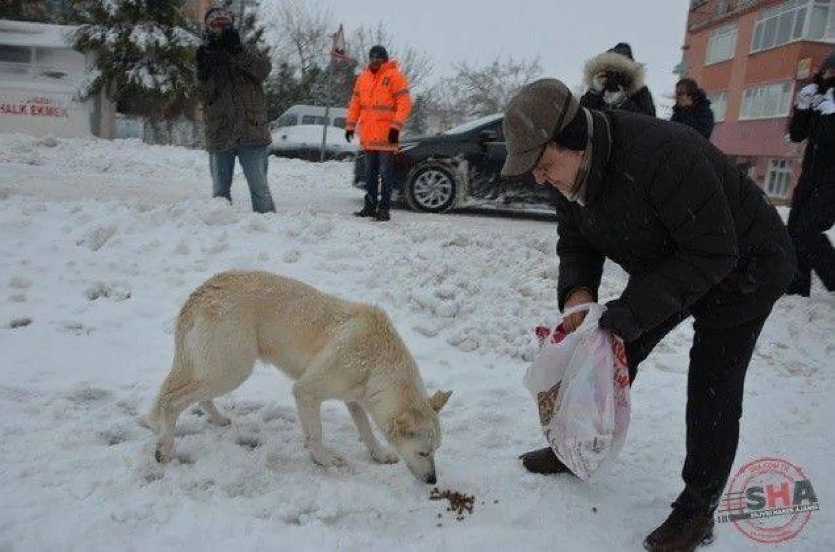 Silivri Belediyesi'nin karla mücadele çalışmaları