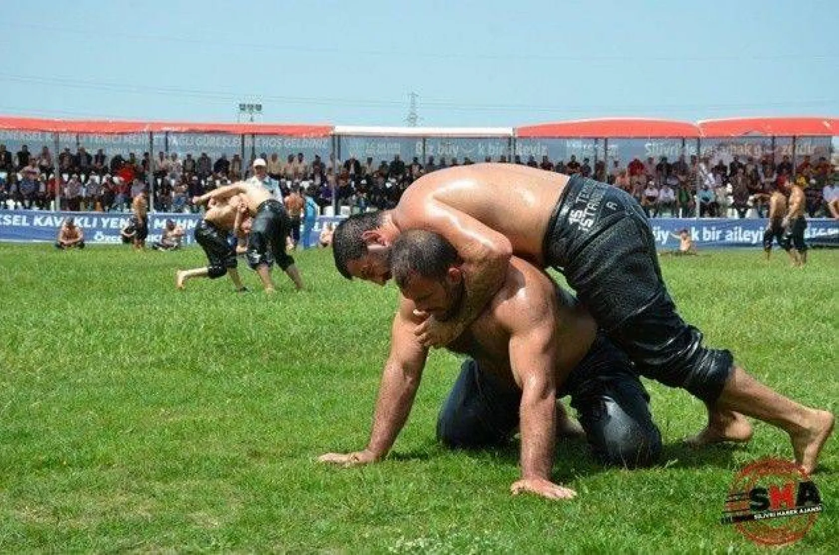 Pehlivanlar Silivri er meydanında güreşti