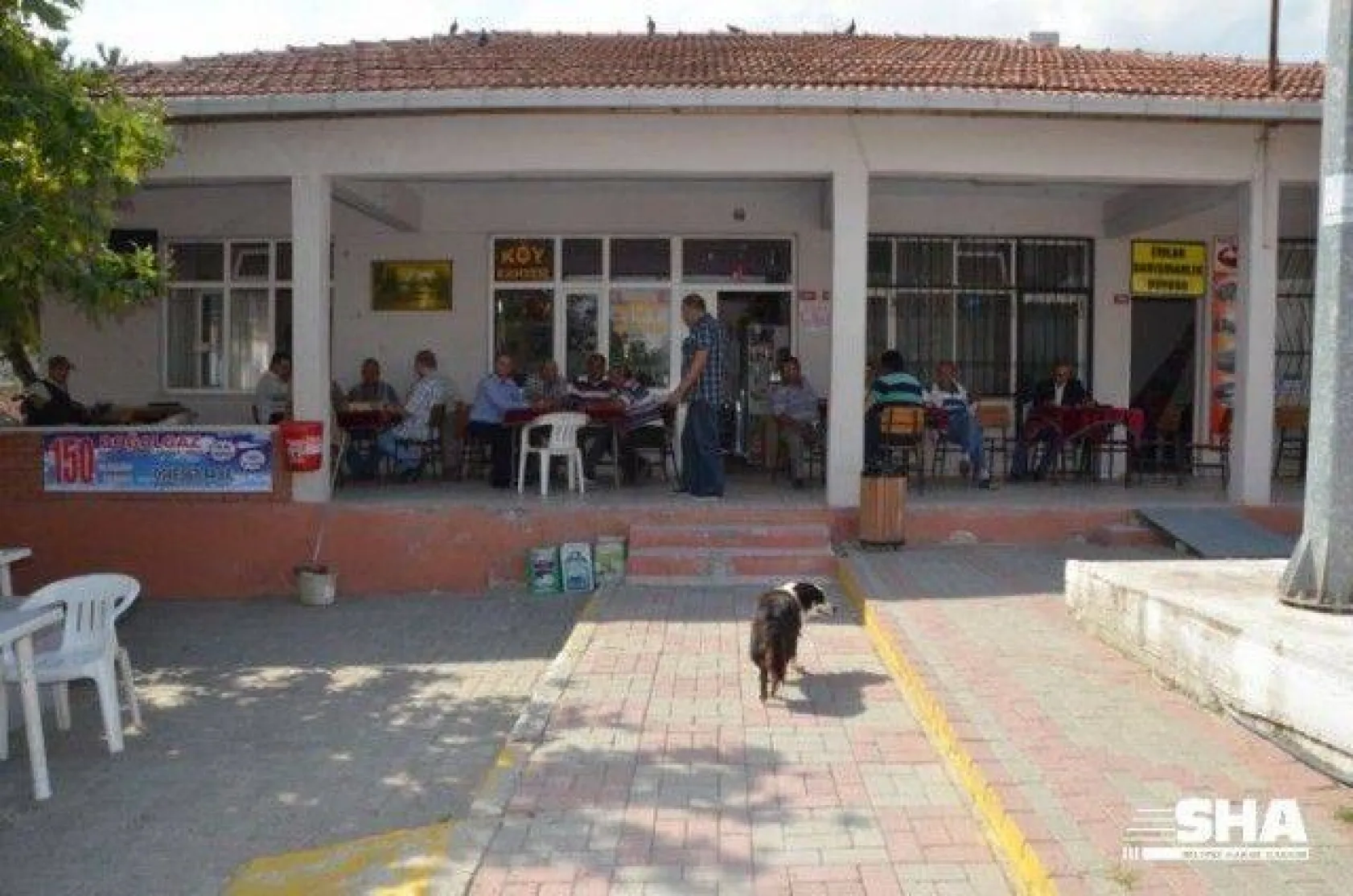 Büyüksinekli'de Modern Düzenleme