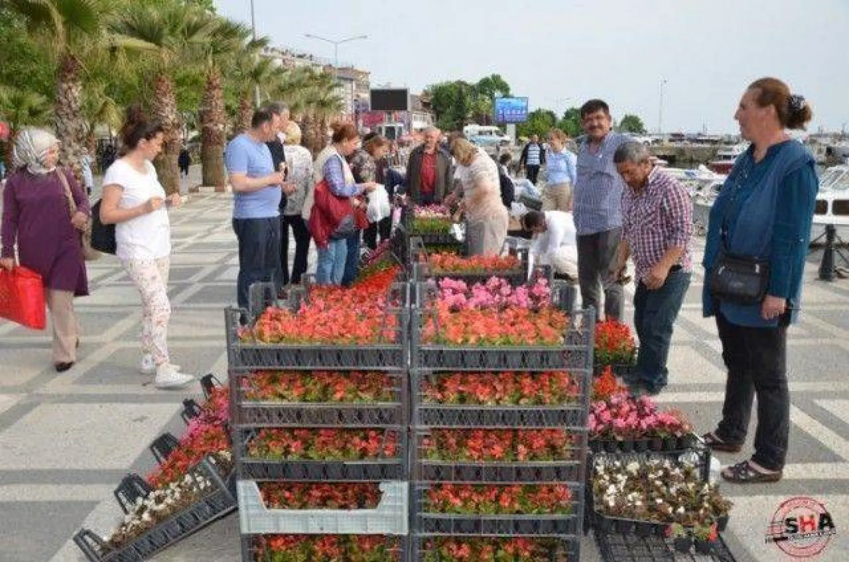 Güçlü 'Başarıya Giden Yol Eğitimden Geçer'