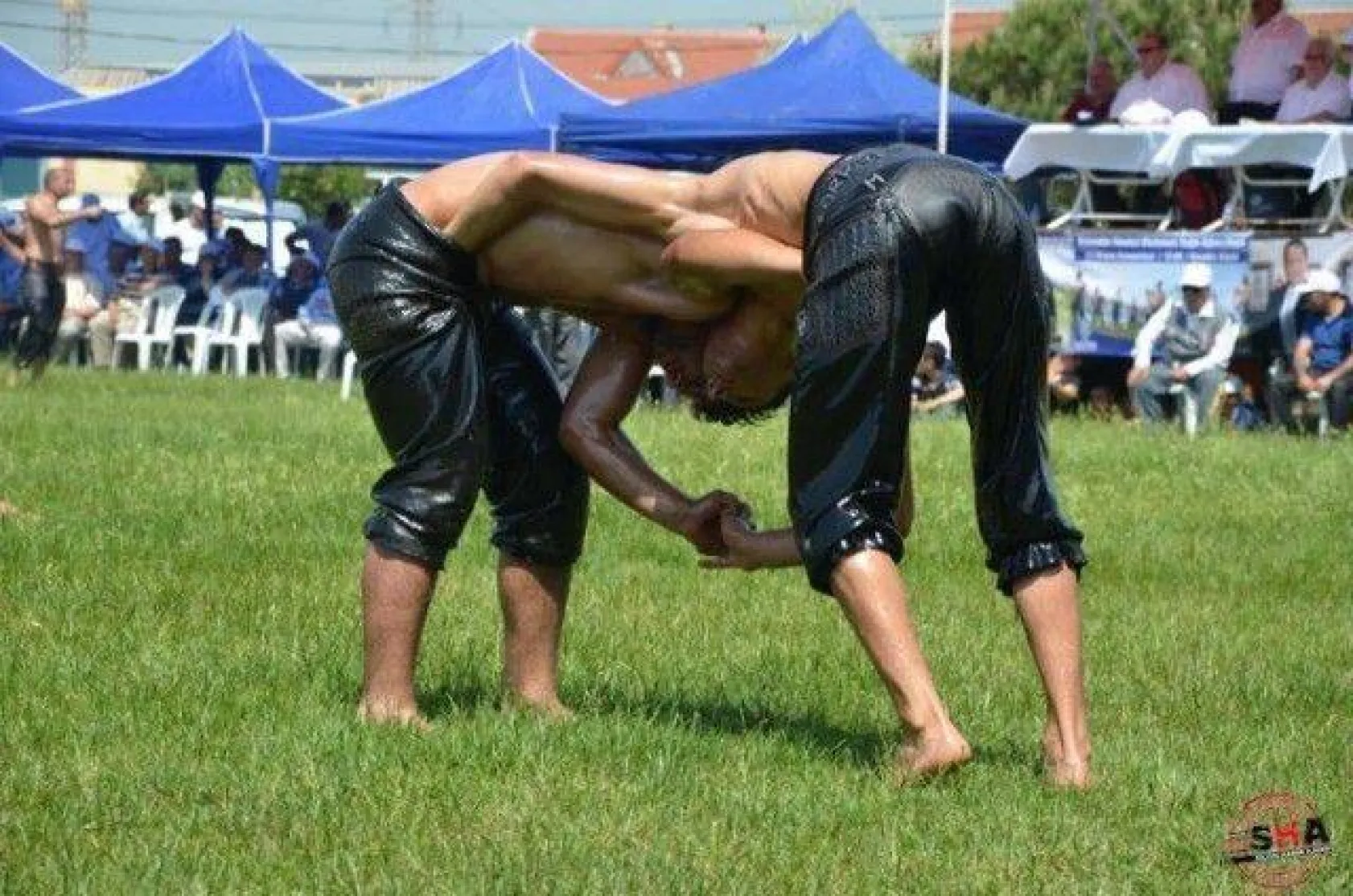 Pehlivanlar Silivri Er Meydanında Yarıştı