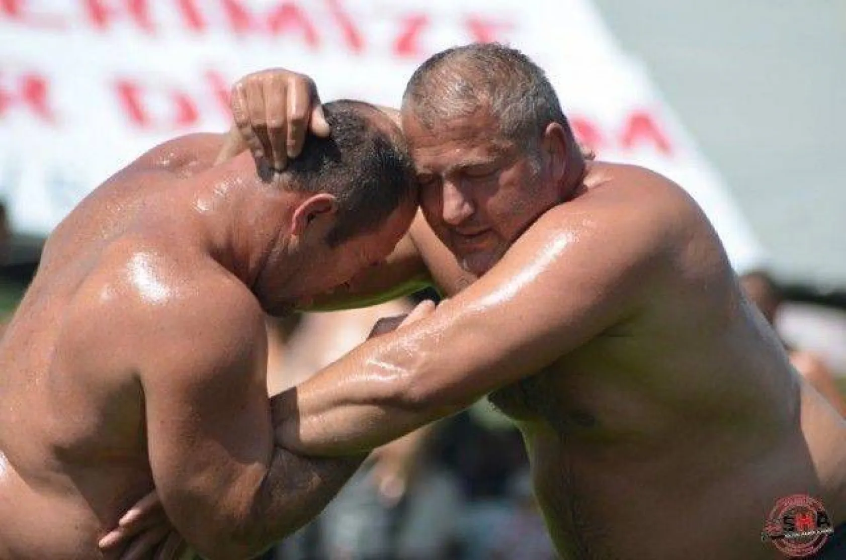 Pehlivanlar Silivri Er Meydanında Yarıştı