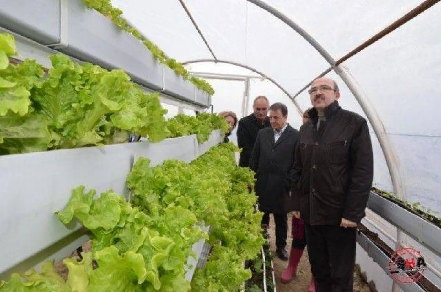 Kaymakam Bekarlar İyi Tarım Uygulamalarını İnceledi