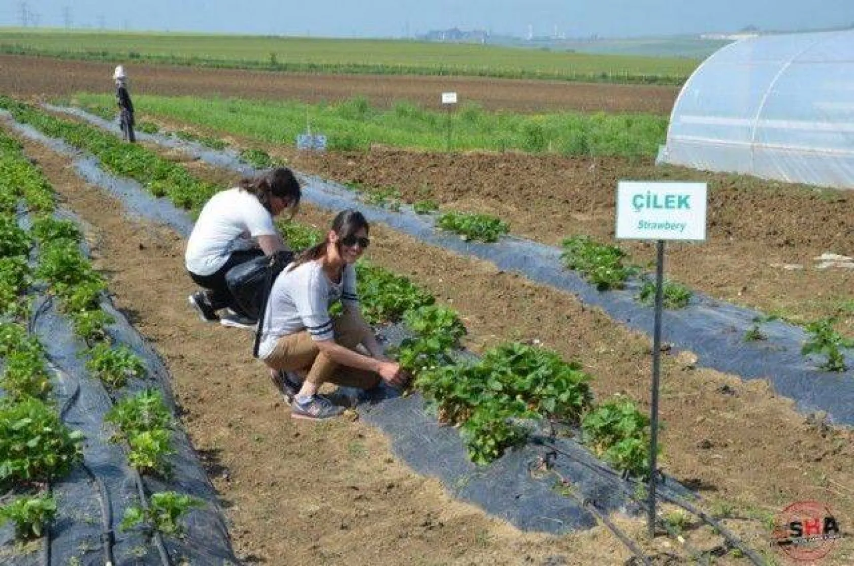 Üniversite Öğrencileri Tarım Üretim Merkezini İnceledi