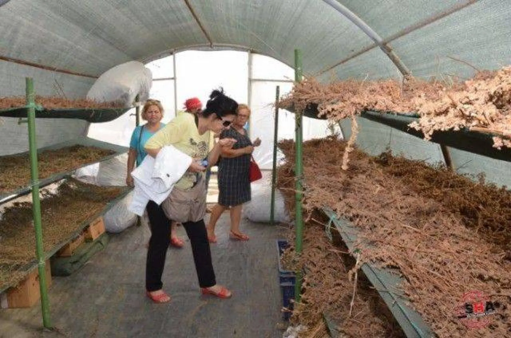 Işıklar Mescitleri Ziyaret Etti