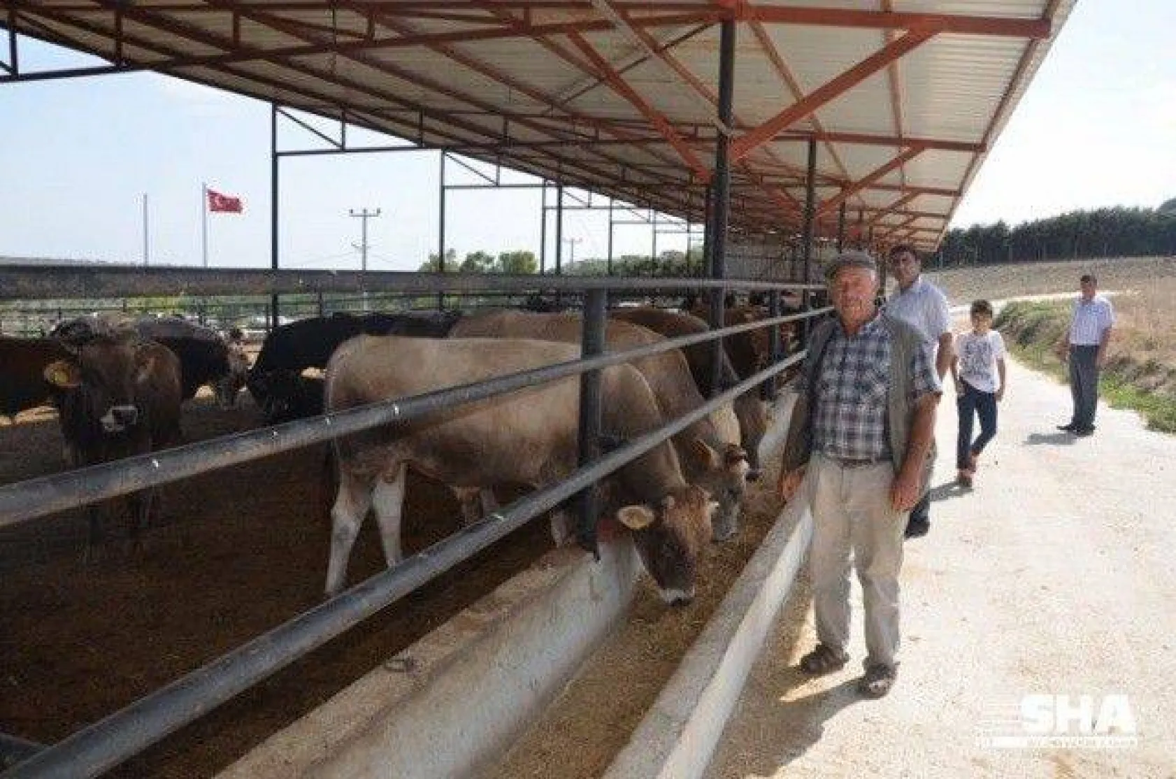 Aktaş çiftliğinde Kurbanlık satışları devam ediyor.