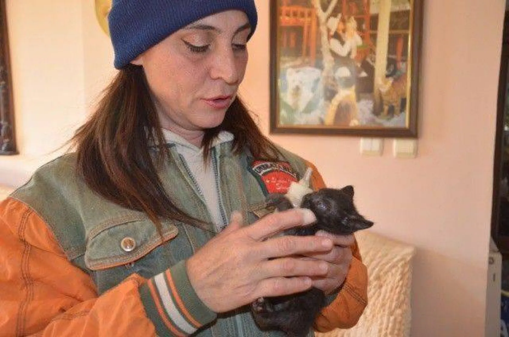 Evinde yüzlerce kedi ve köpekle yaşıyor