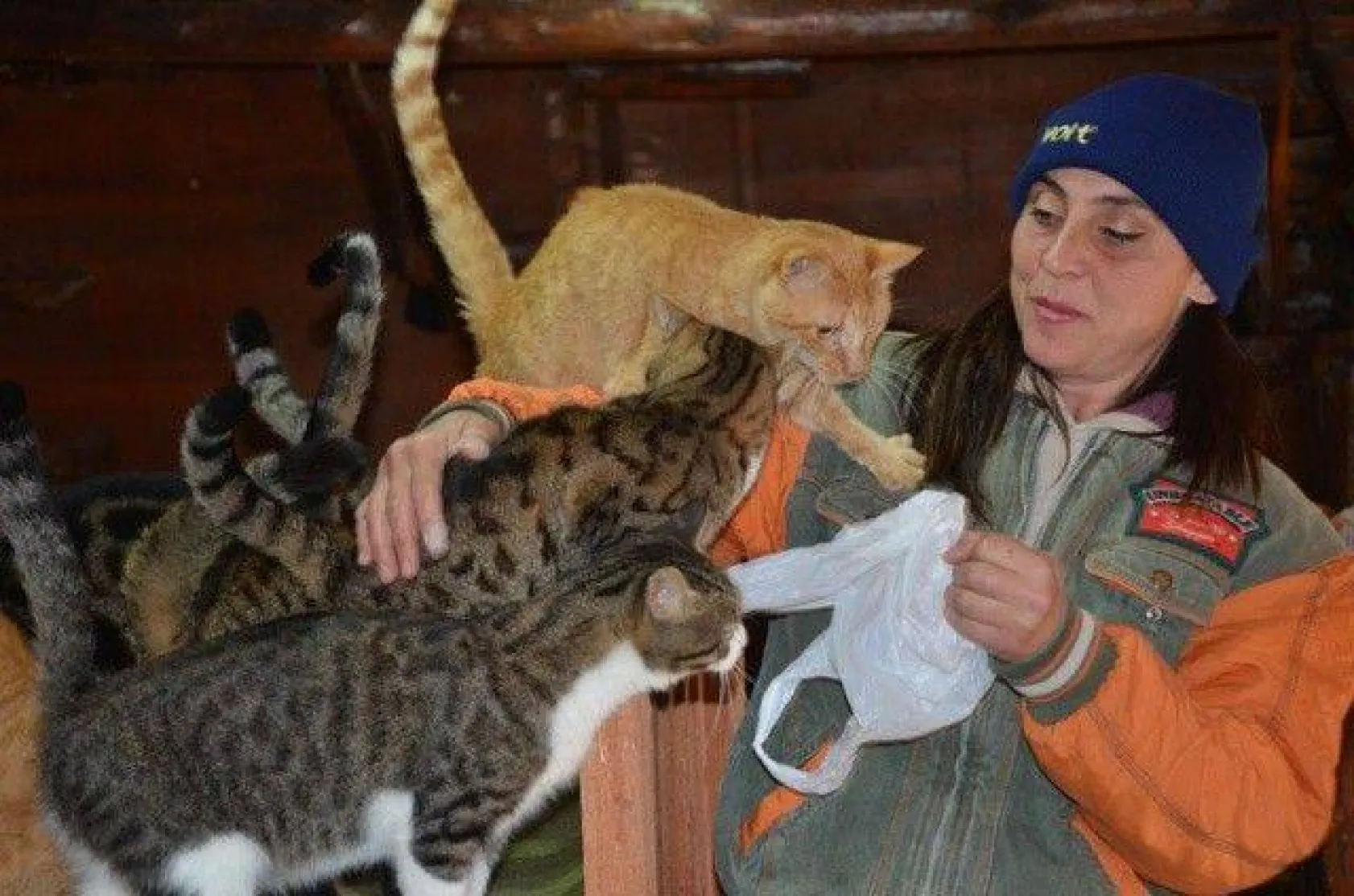 Evinde yüzlerce kedi ve köpekle yaşıyor