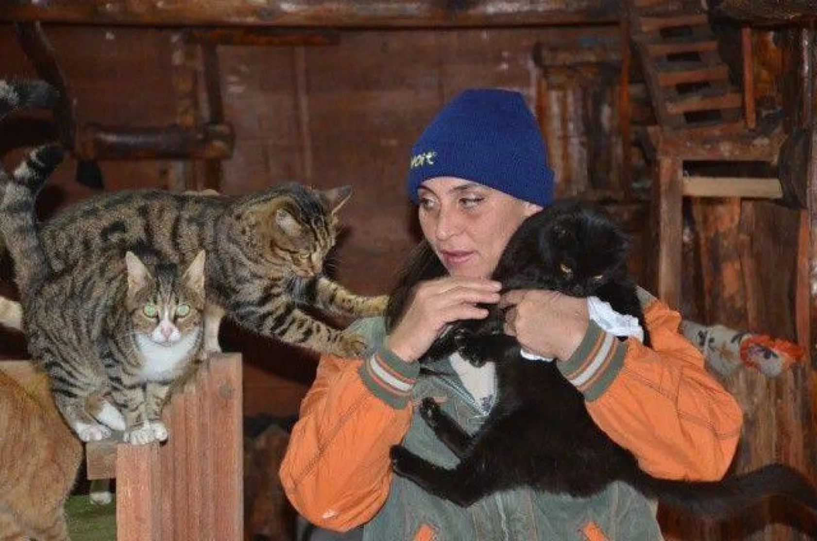 Evinde yüzlerce kedi ve köpekle yaşıyor