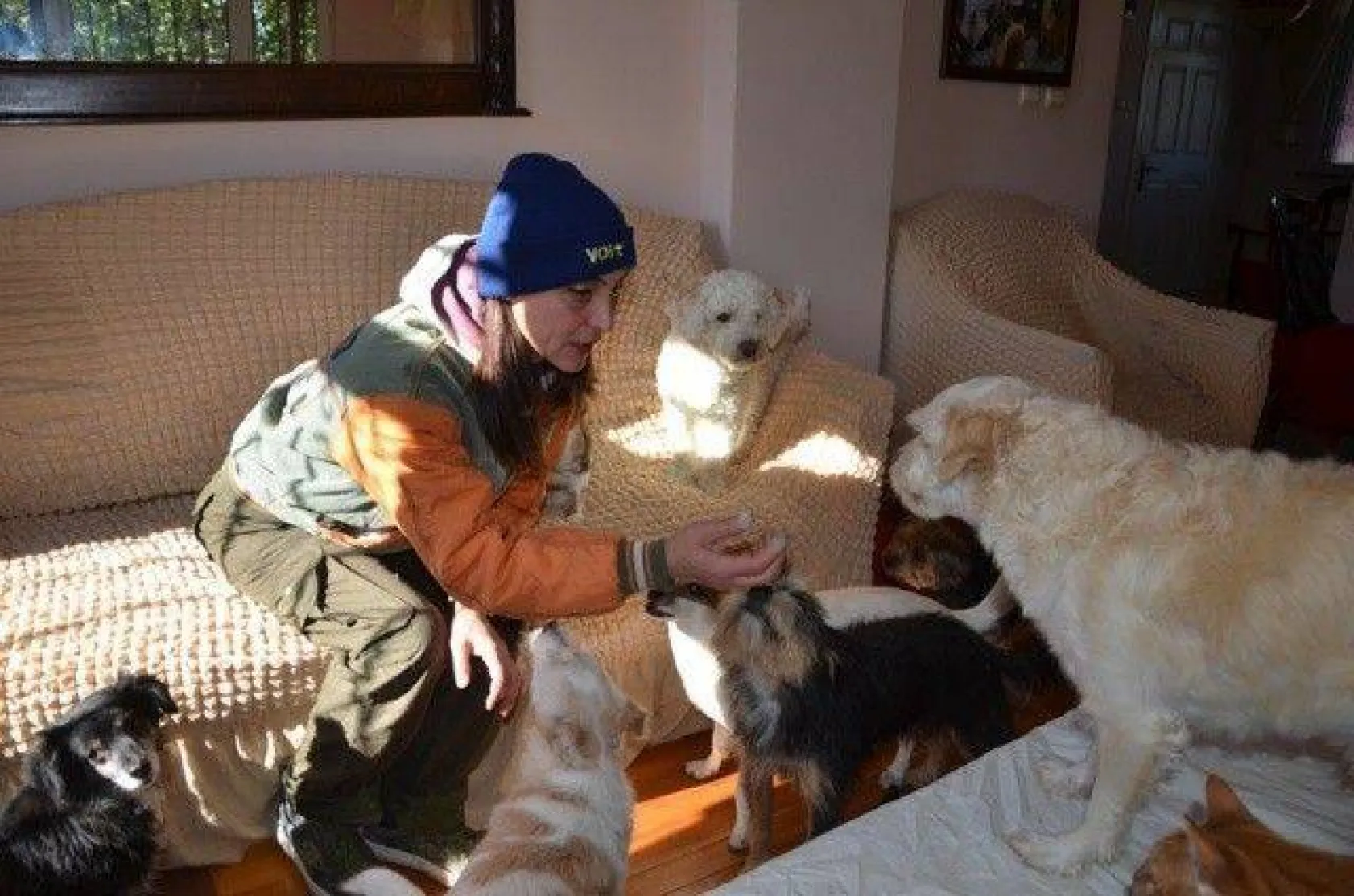 Evinde yüzlerce kedi ve köpekle yaşıyor