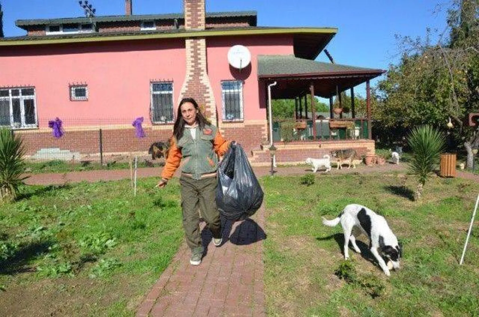 Evinde yüzlerce kedi ve köpekle yaşıyor