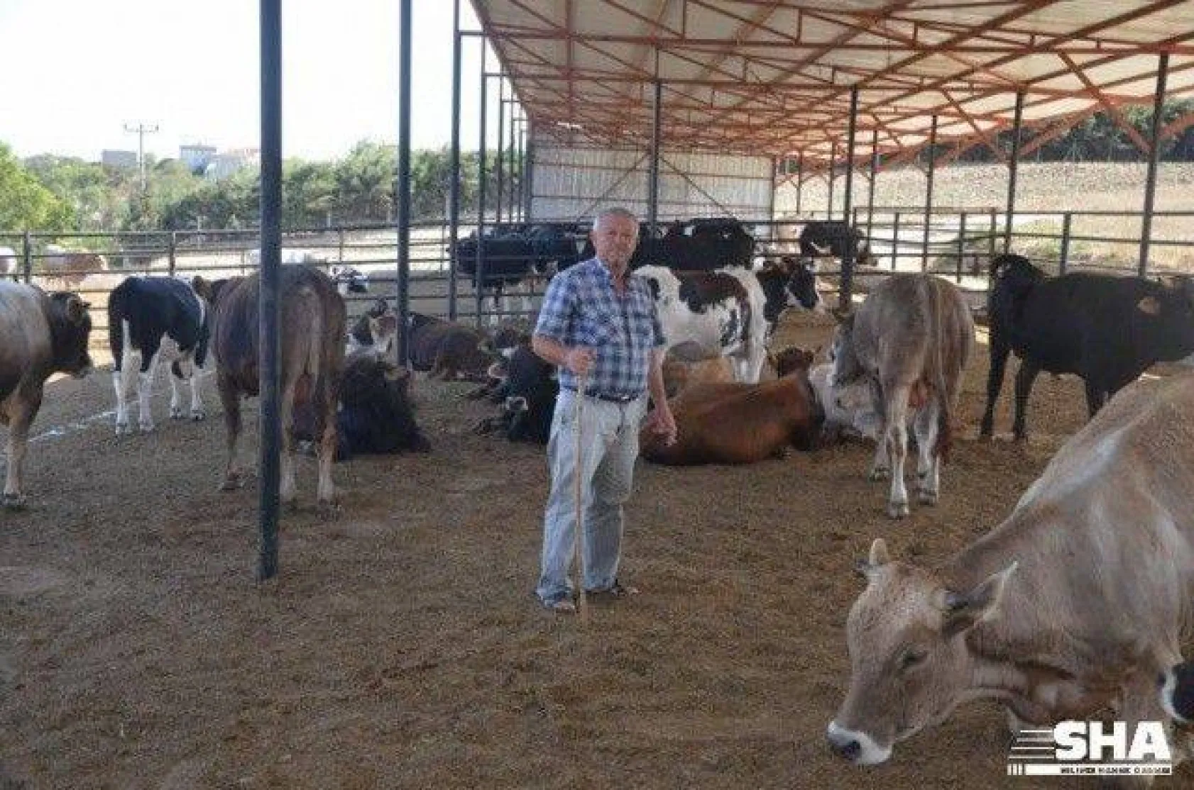 Kurbanlıkta 40 yıllık tecrübe 'Aktaş Çiftliği'