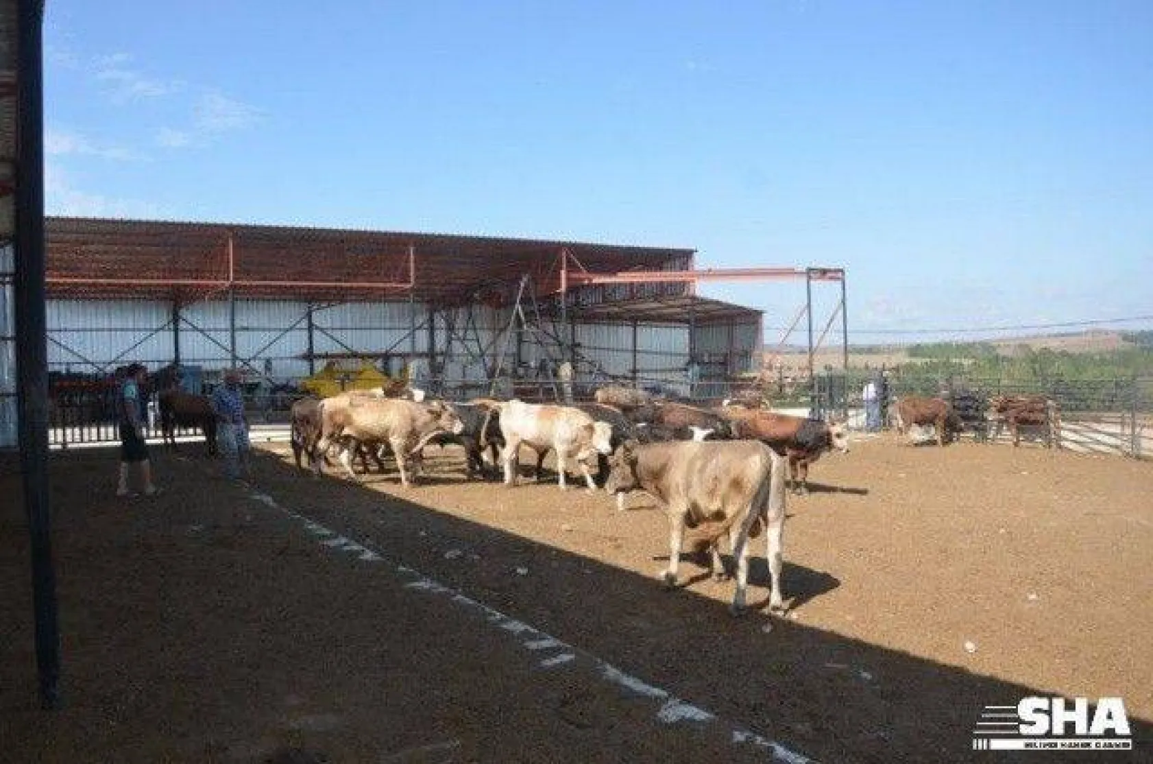 Kurbanlıkta 40 yıllık tecrübe 'Aktaş Çiftliği'