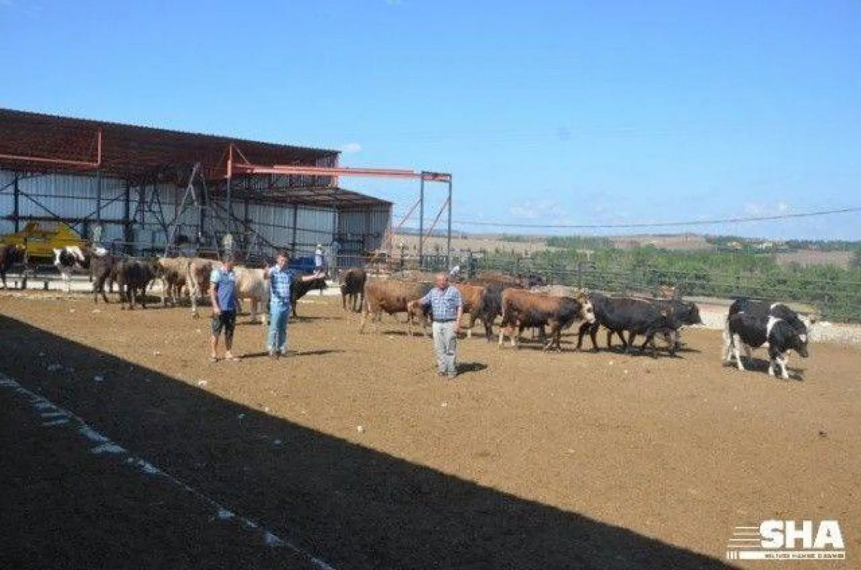 Kurbanlıkta 40 yıllık tecrübe 'Aktaş Çiftliği'