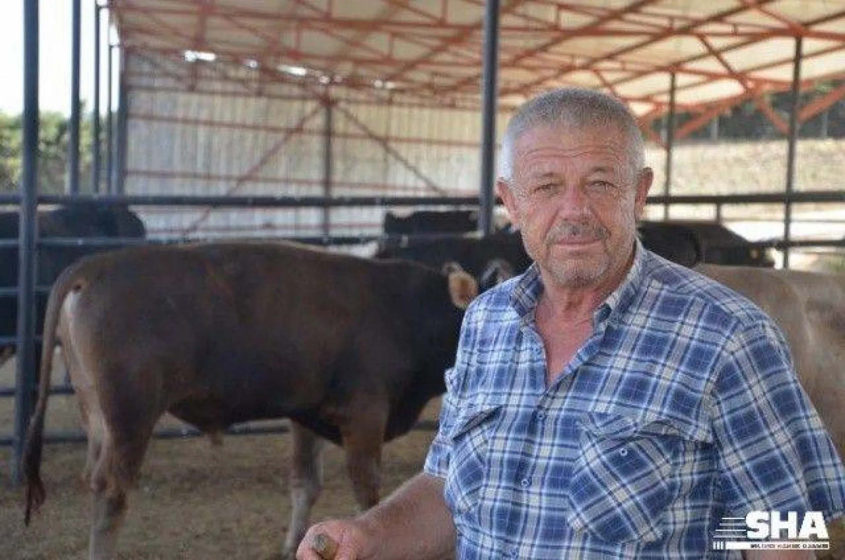 Kurbanlıkta 40 yıllık tecrübe 'Aktaş Çiftliği'