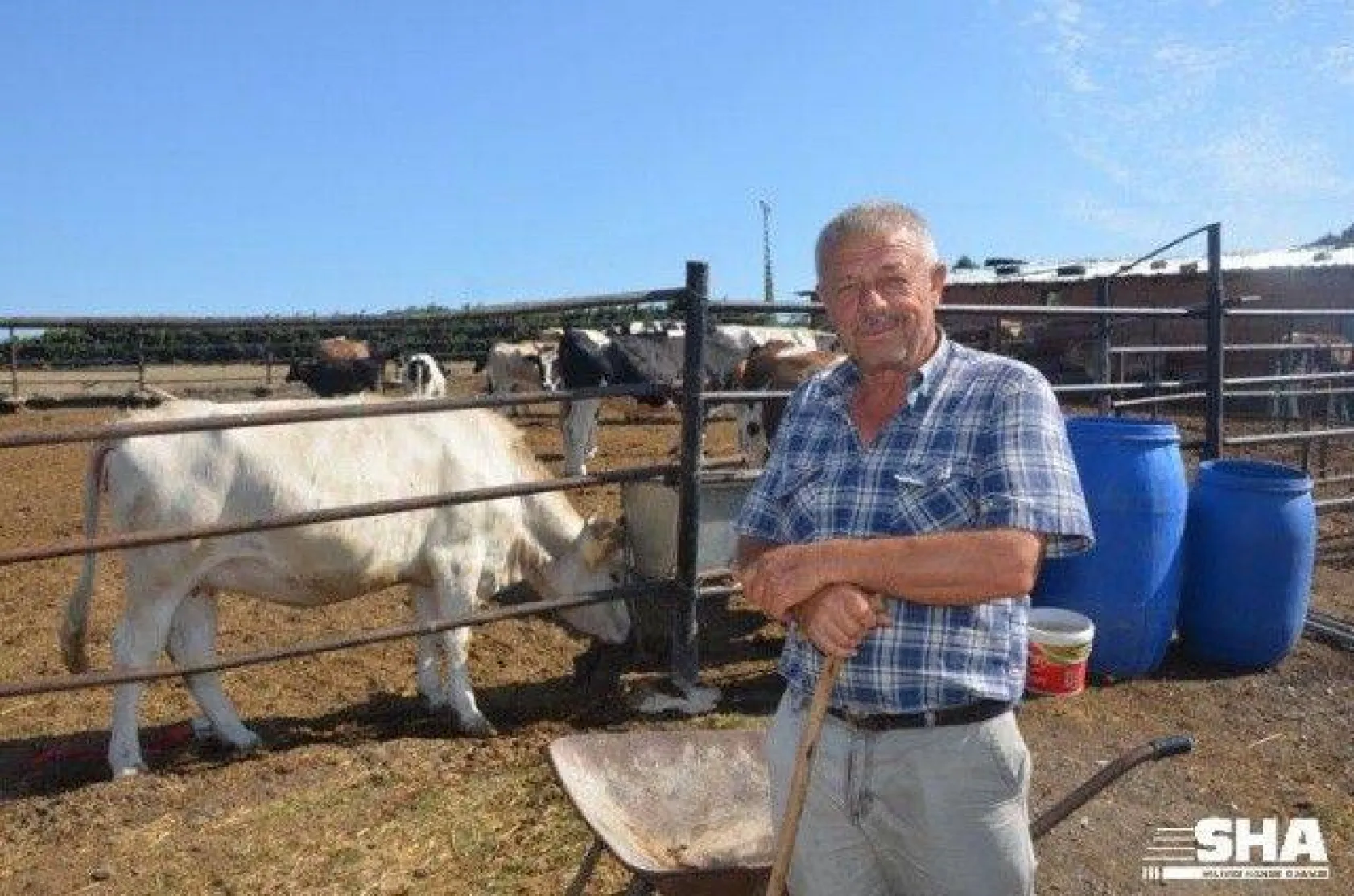 Kurbanlıkta 40 yıllık tecrübe 'Aktaş Çiftliği'