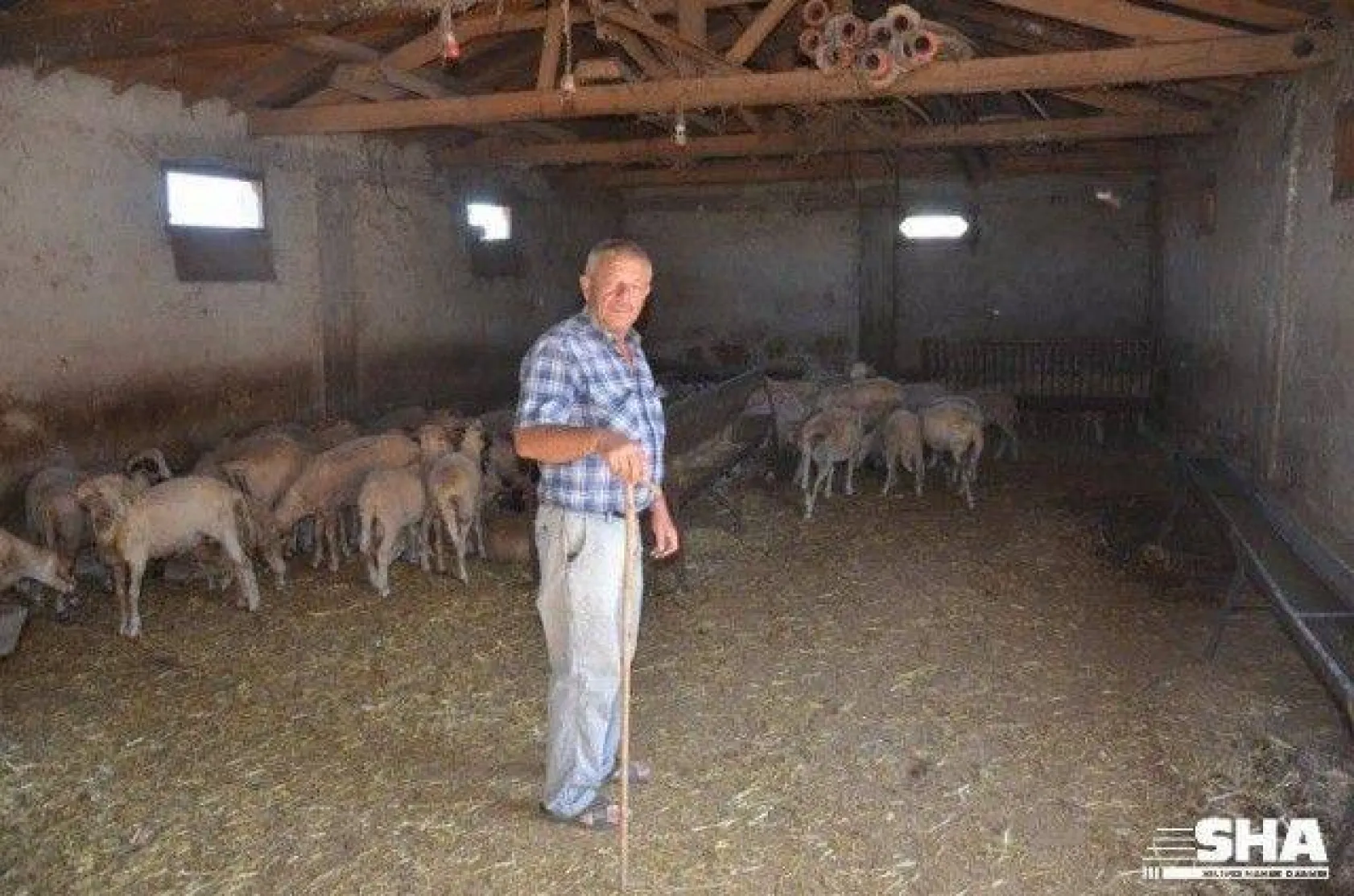 Kurbanlıkta 40 yıllık tecrübe 'Aktaş Çiftliği'