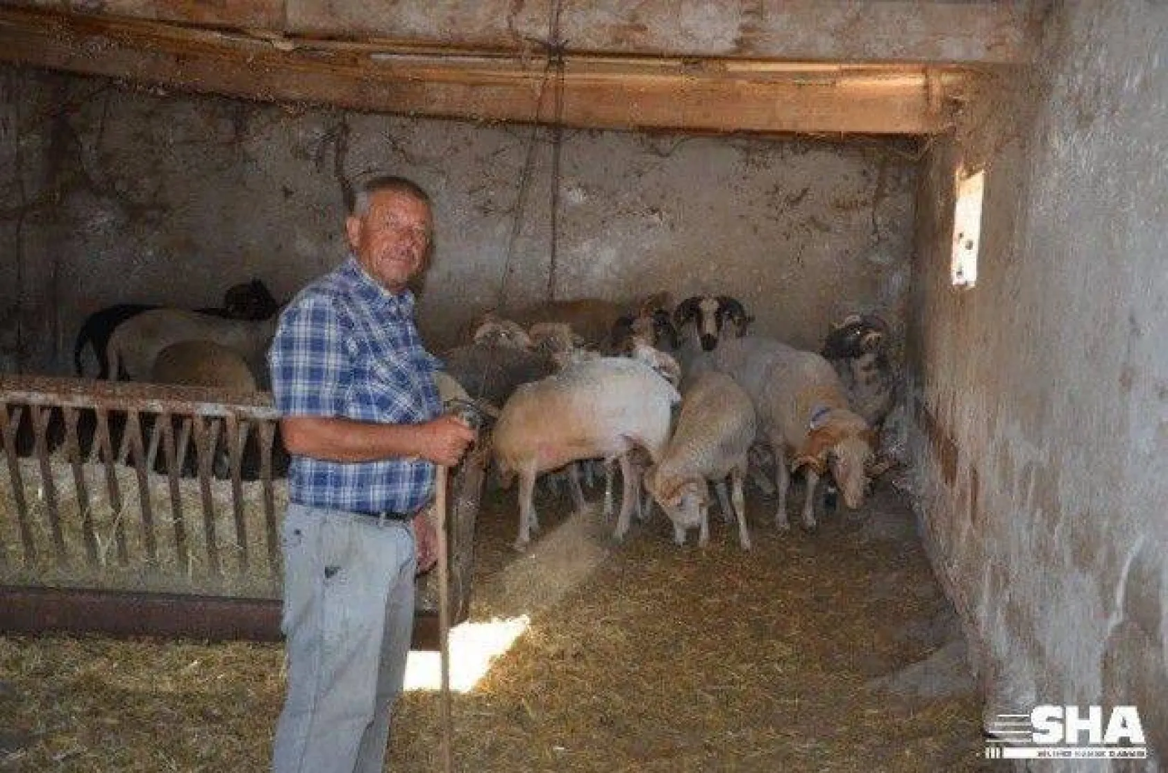 Kurbanlıkta 40 yıllık tecrübe 'Aktaş Çiftliği'