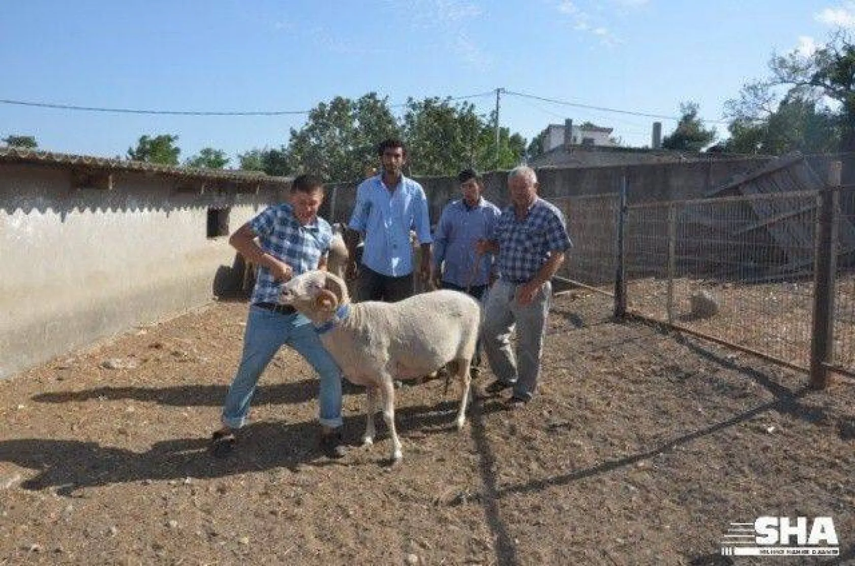 Kurbanlıkta 40 yıllık tecrübe 'Aktaş Çiftliği'